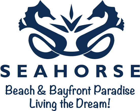 Seahorse Beach Club & Residences - Seahorse (600x516), Png Download