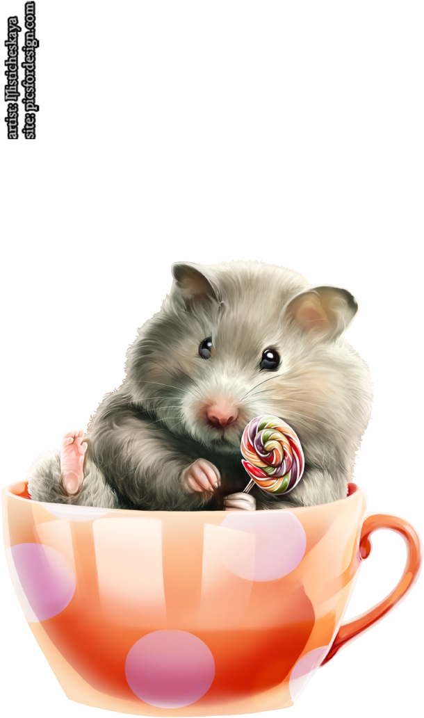 Hamster 50 - Portable Network Graphics (640x1091), Png Download