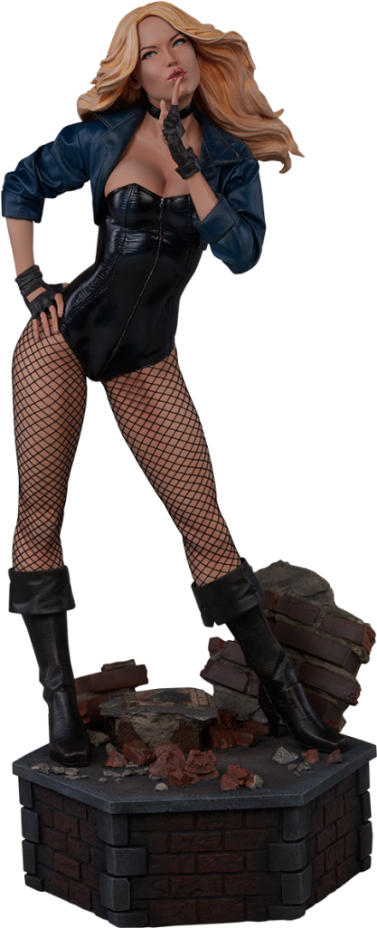 Dc Collectibles Black Canary Statues (1024x1024), Png Download