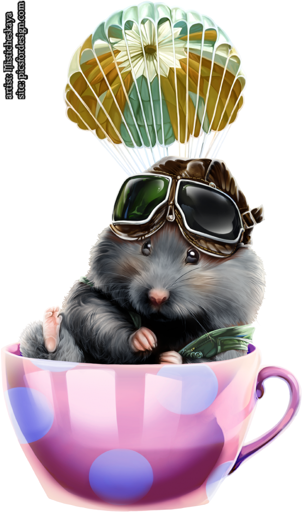 Hamster-1 - Portable Network Graphics (640x1091), Png Download