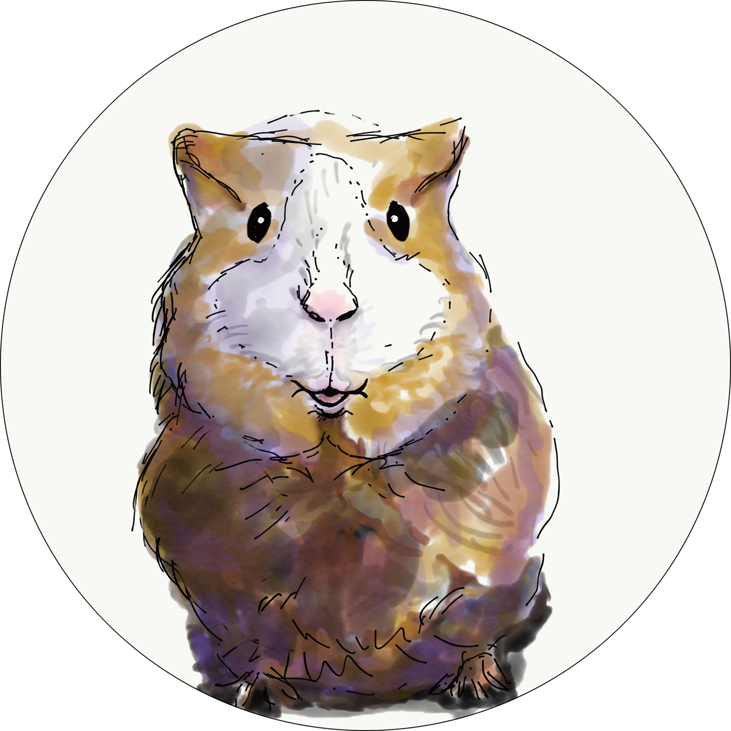 Hamster (2513x2513), Png Download