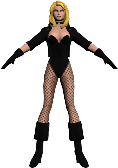 Download Zip Archive - Black Canary (750x650), Png Download