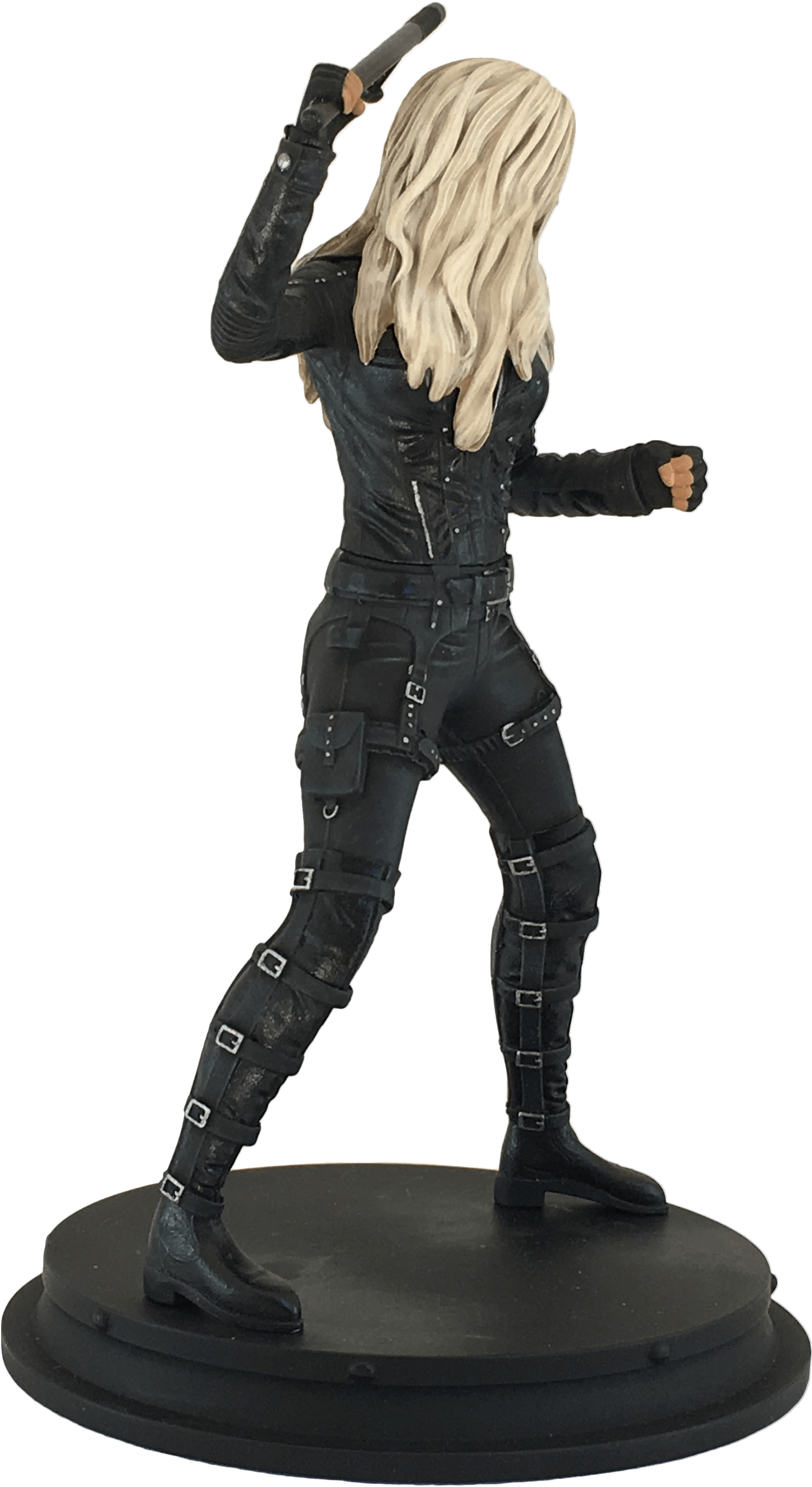 Based On Her Costume From The Hit Tv Show, Made From - Black Canary (3024x3024), Png Download