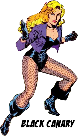 Original Black Canary Dc Comics (281x474), Png Download
