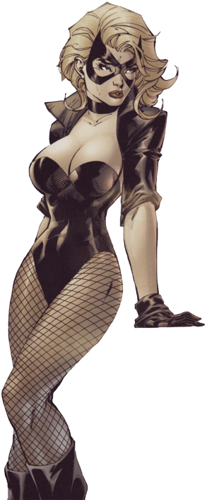 Click To Expand - Jim Lee Black Canary (390x758), Png Download