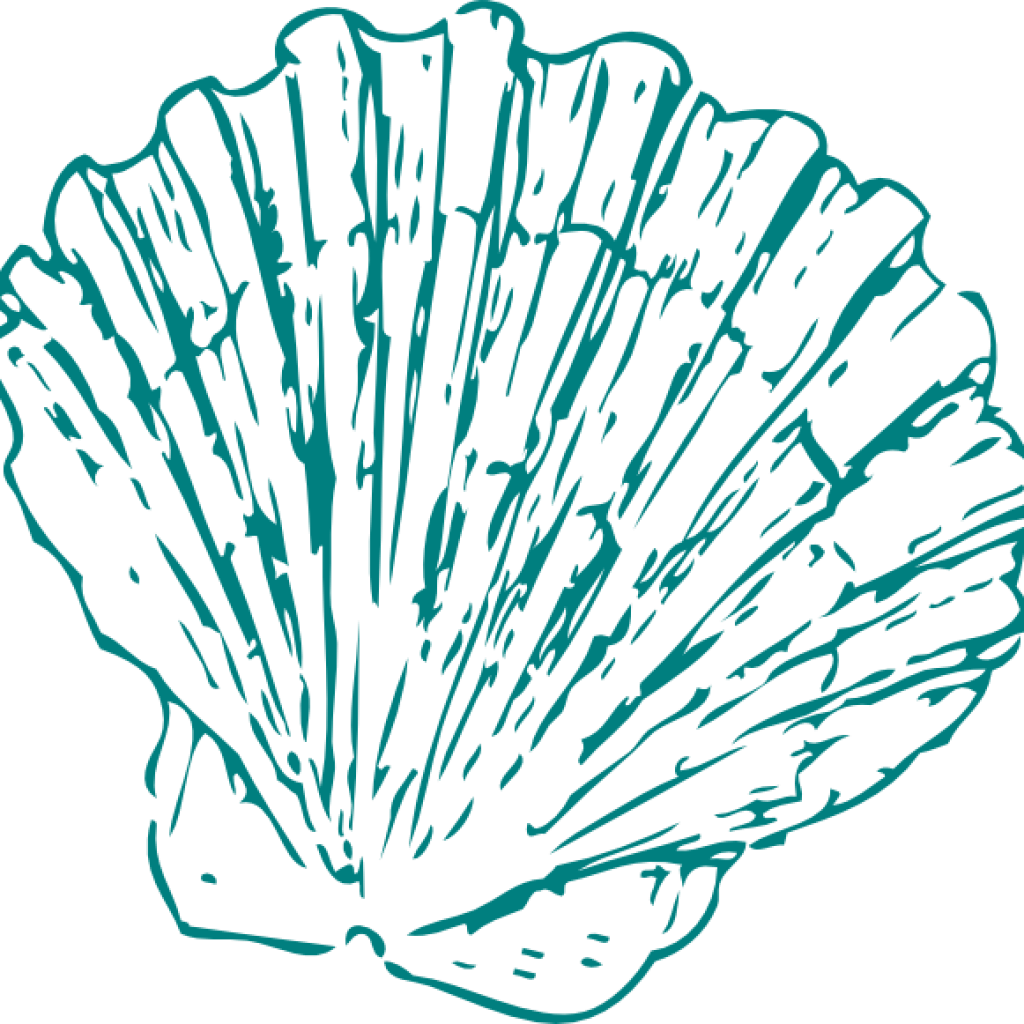 Seashell Clipart Greeen Sea Shell Clip Art At Clker - Cartoon Seashell Transparent Background (1024x1024), Png Download