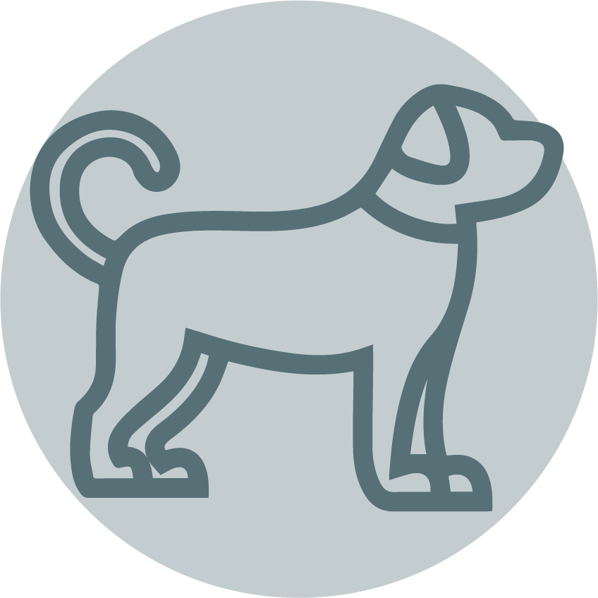 Dog Coupons - Ville De Saint Etienne (848x848), Png Download