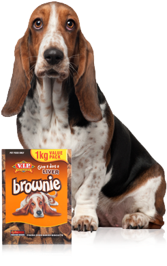 New Darrell Lea Pet Food Bosses To Target Premium Confectionery, - Dog (425x424), Png Download