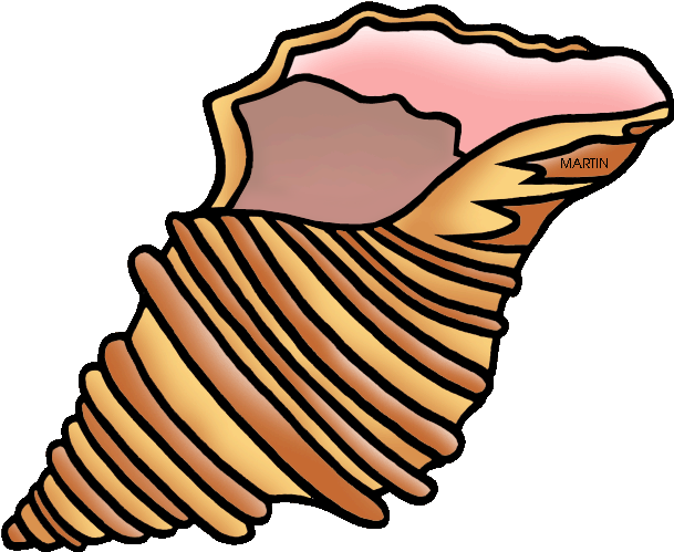 28 Collection Of Shell Clipart - Shell Clipart (648x528), Png Download