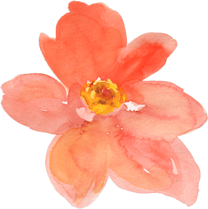 Upcoming - Peach Flower Clip Art (537x445), Png Download