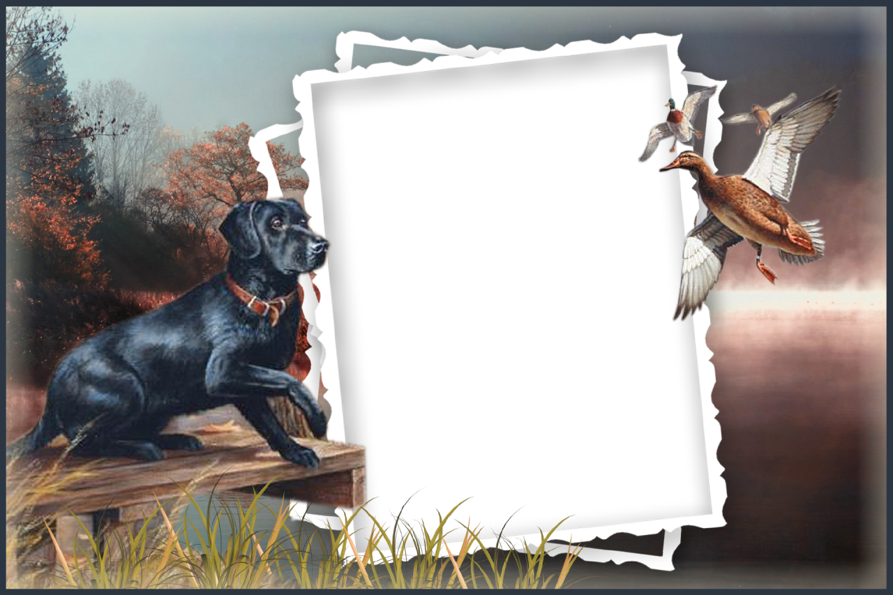 Clipart Dogs Picture Frame - Father's Day Frames Png (1280x853), Png Download