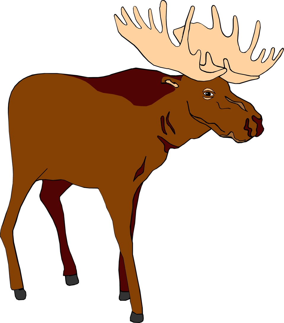 Moose - Moose Clipart (958x1089), Png Download