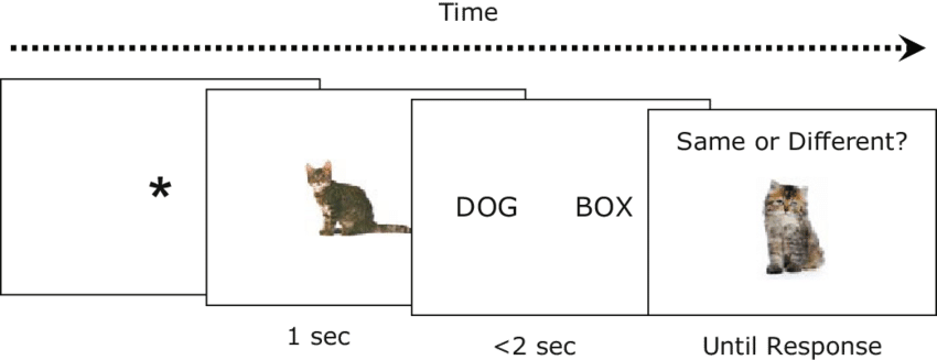 On This Trial, The Target Is Present Along With An - Domestic Short-haired Cat (850x327), Png Download