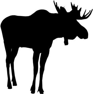 Silhouette (480x480), Png Download