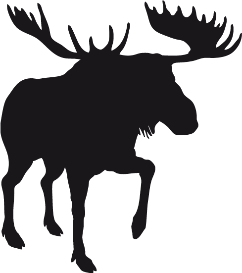 Stickers Moose - Cramahe, Ontario (800x600), Png Download