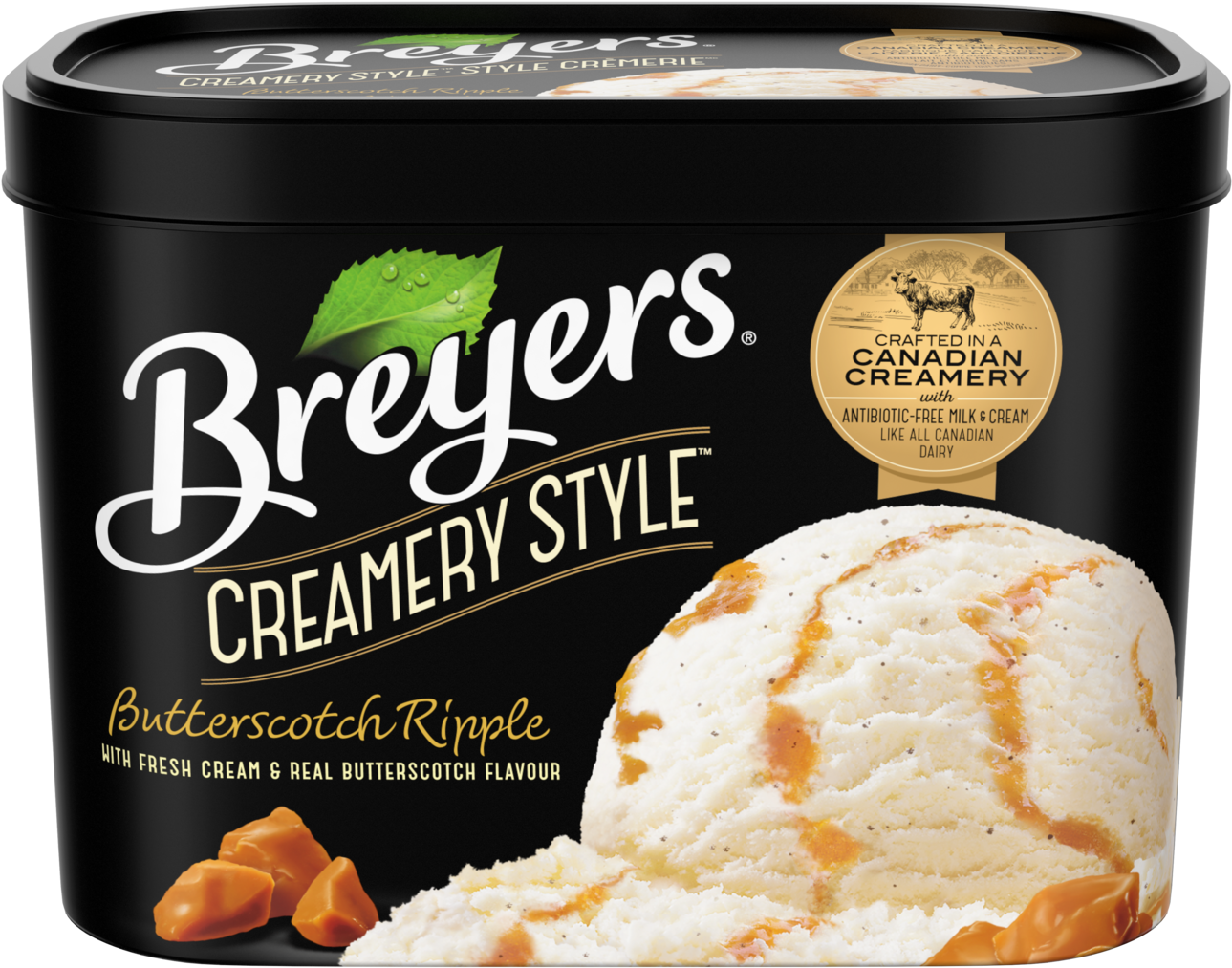 Breyers Creamery Style Butterscotch Ripple - Breyers Mint Ice Cream (1500x1...