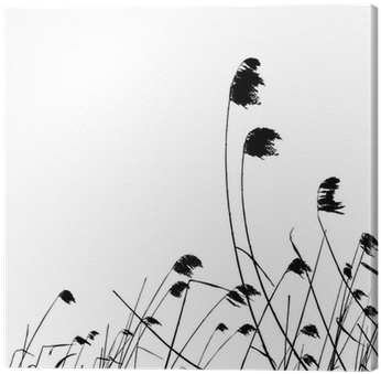 Real Grass Silhouette - Stock Illustration (400x400), Png Download