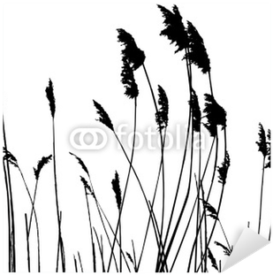 Real Grass Silhouette - Tall Grass Silhouette (400x400), Png Download
