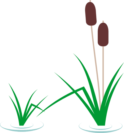 Cattail Clip Art - Cattail Clipart (400x429), Png Download