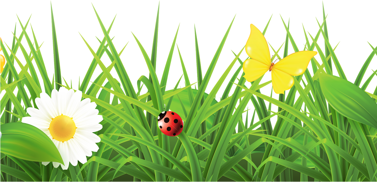 Grass With Flowers Png Hd (1200x630), Png Download
