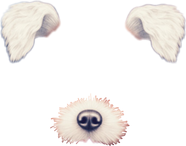 So Cute Omg Dog Filter Snapchat Cute Kawaii Interesting - Transparent Dog Snapchat Filters Png (621x487), Png Download