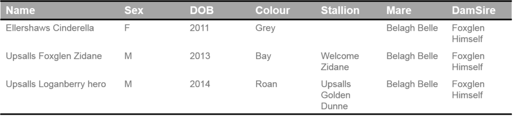 Belle - Portable Network Graphics (1000x228), Png Download