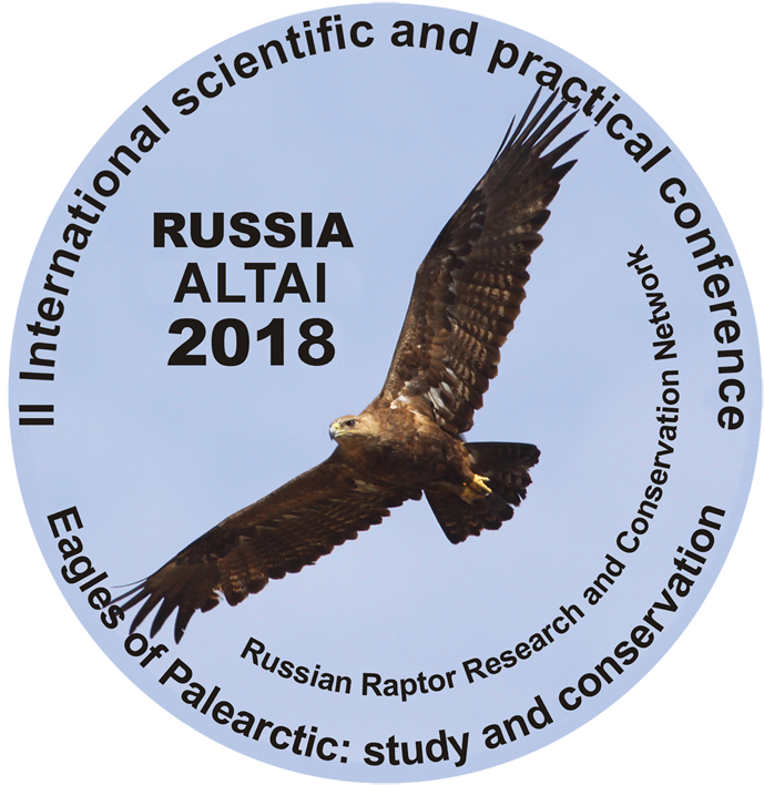 Altay Eagle (700x719), Png Download