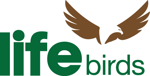 Lifebirds (515x261), Png Download