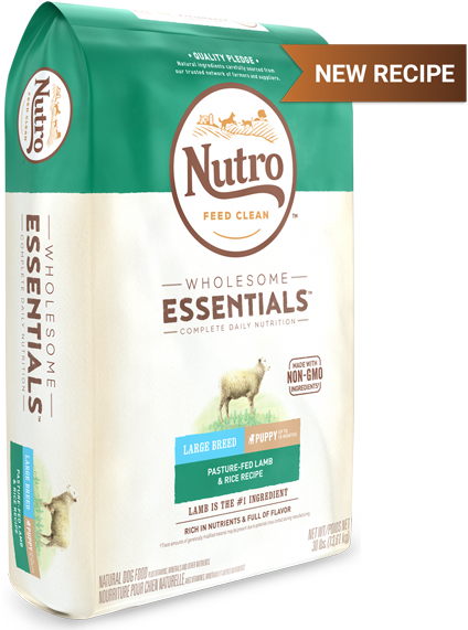 10157655 Nutro Dry Dog - Lamb And Rice Food For Large Breed Puppies (640x640), Png Download
