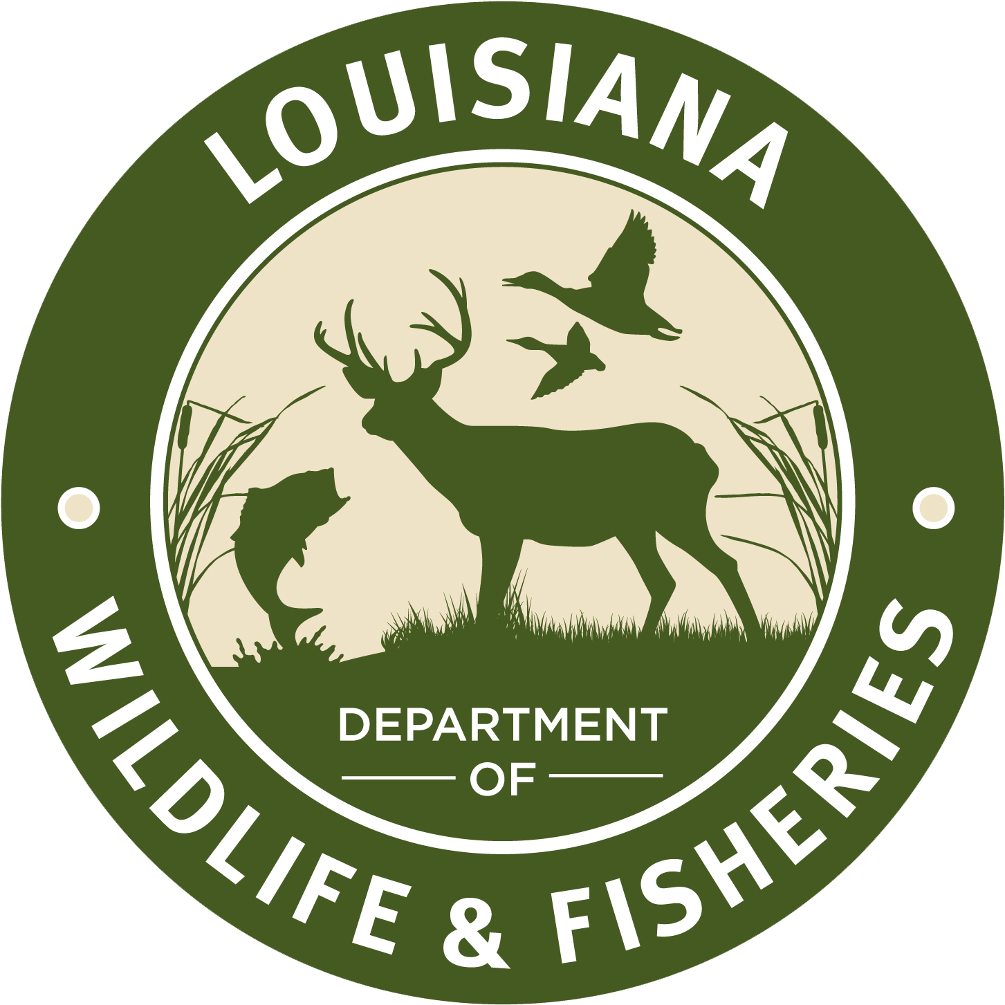 Louisiana Man Cited For Illegal Fish Sales - Louisiana Wildlife Fisheries (1800x1800), Png Download