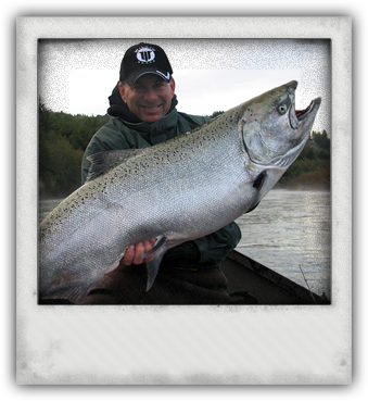 Just A Little Salmon Photo - Photograph (339x369), Png Download