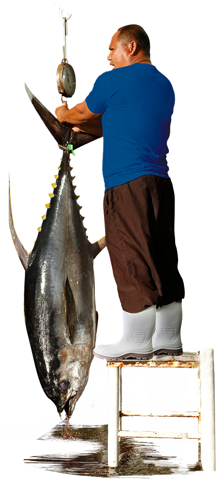 Marine Tuff Shrimp Boots - Pull Fish Out Of Water (551x1037), Png Download