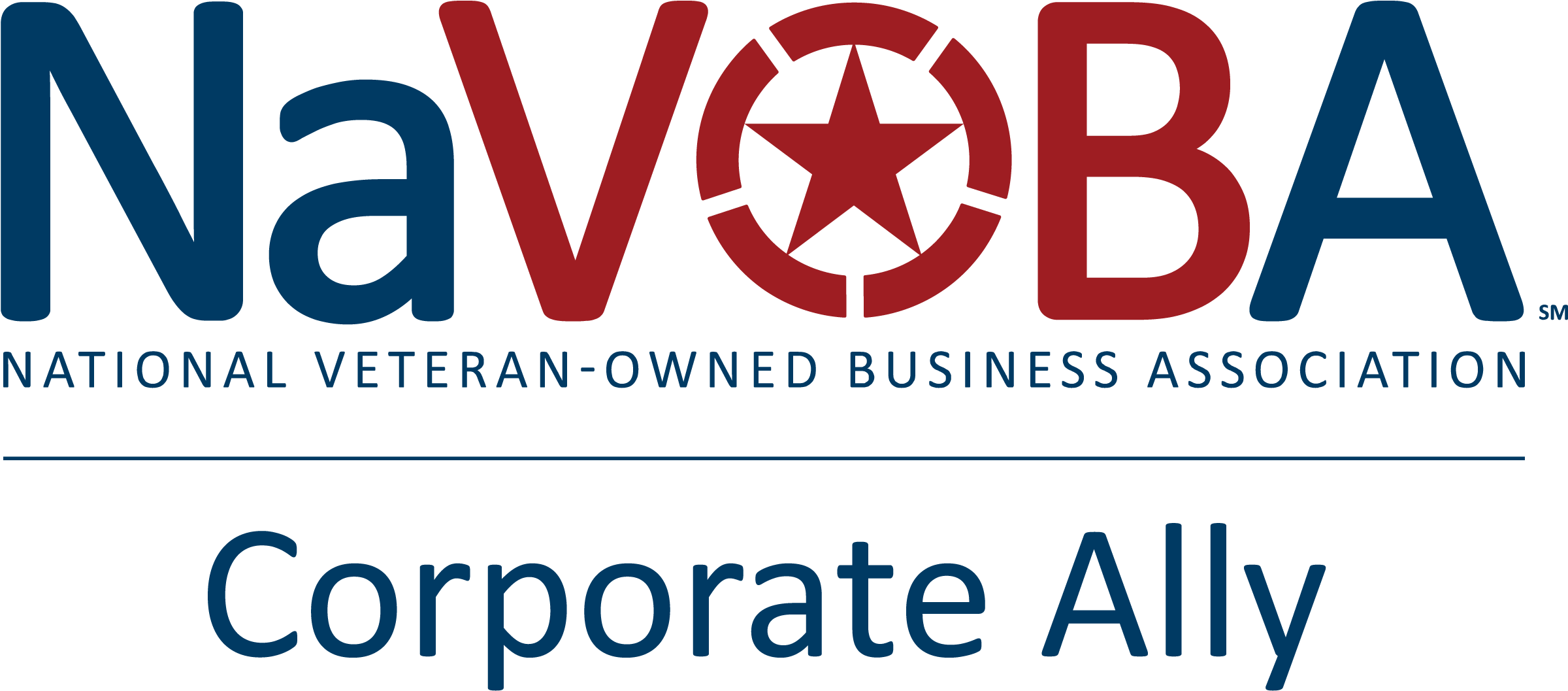 Capl One - Department Of Defense Service Disabled Veteran Owned (2576x1235), Png Download