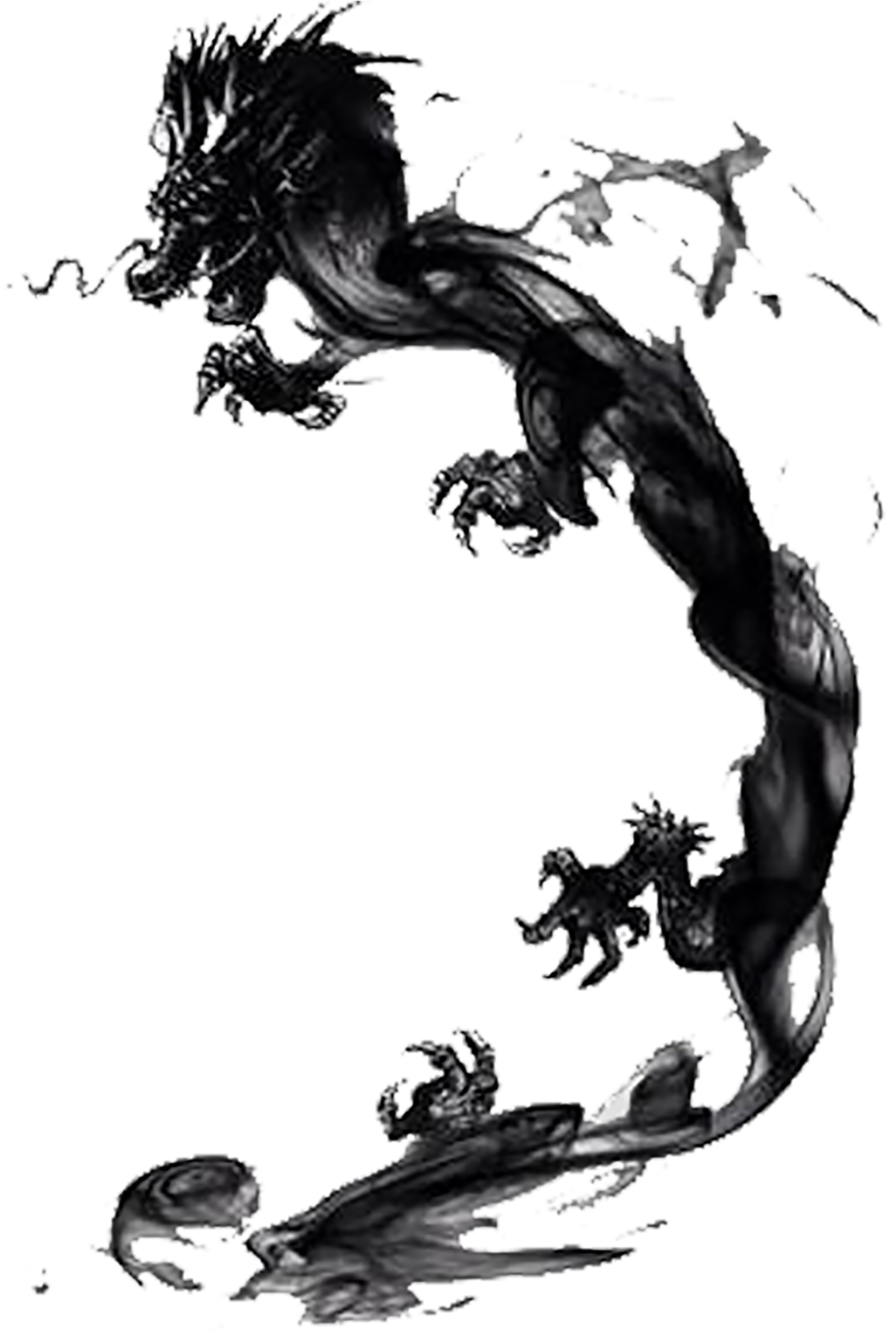 Banner Black And White Library African Drawing Ink - Chinese India Ink Dragon (1500x1977), Png Download