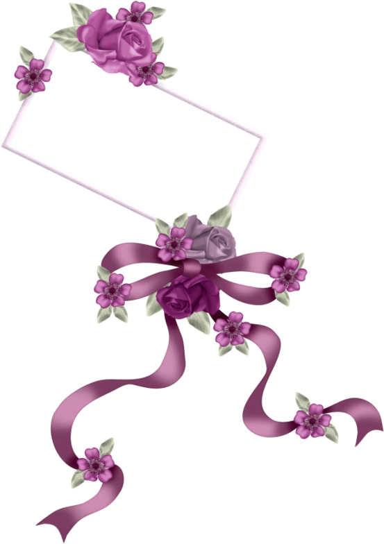 .net (567x800), Png Download