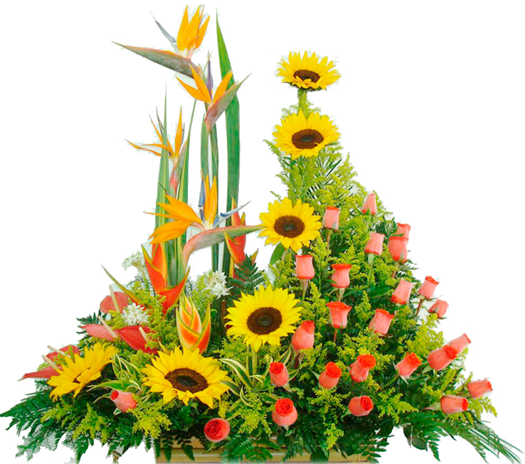 Image Description - Rosas Rosadas Y Girasoles (738x653), Png Download
