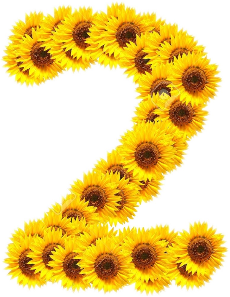 Report Abuse - Photography (775x1002), Png Download