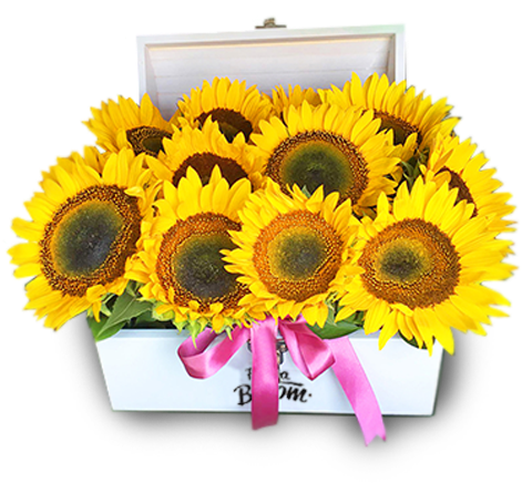 Baúl De Madera En Tono Blanco Adornado Con 16 Radiantes - Artificial Flower (480x640), Png Download