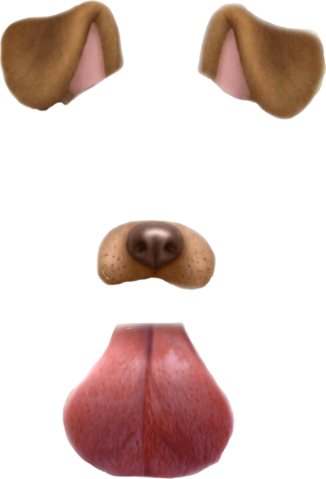 Report Abuse - Snapchat Dog Filter Png (1024x1503), Png Download
