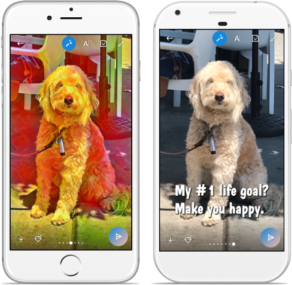 Dog Duo Nobackground - Effects In Skype (655x600), Png Download