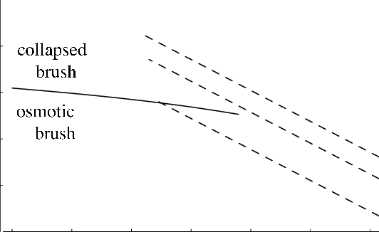 Typical Phase Diagram Of A Single Brush In Theta Solvent - Phase (532x326), Png Download