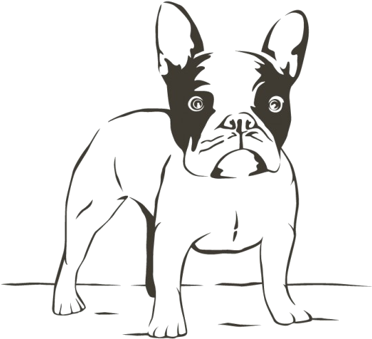 The Pet Project Atlanta Ga Pug - Bulldog Frances Para Colorear (626x626), Png Download