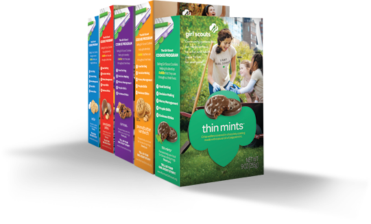 It's Girl Scout Cookie Season In Eastern Pennsylvania - Girl Scout S'mores Cookie 1 Box (541x327), Png Download