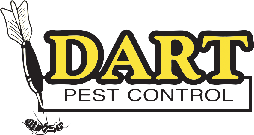 Dart Pest Control - Alt Attribute (946x502), Png Download