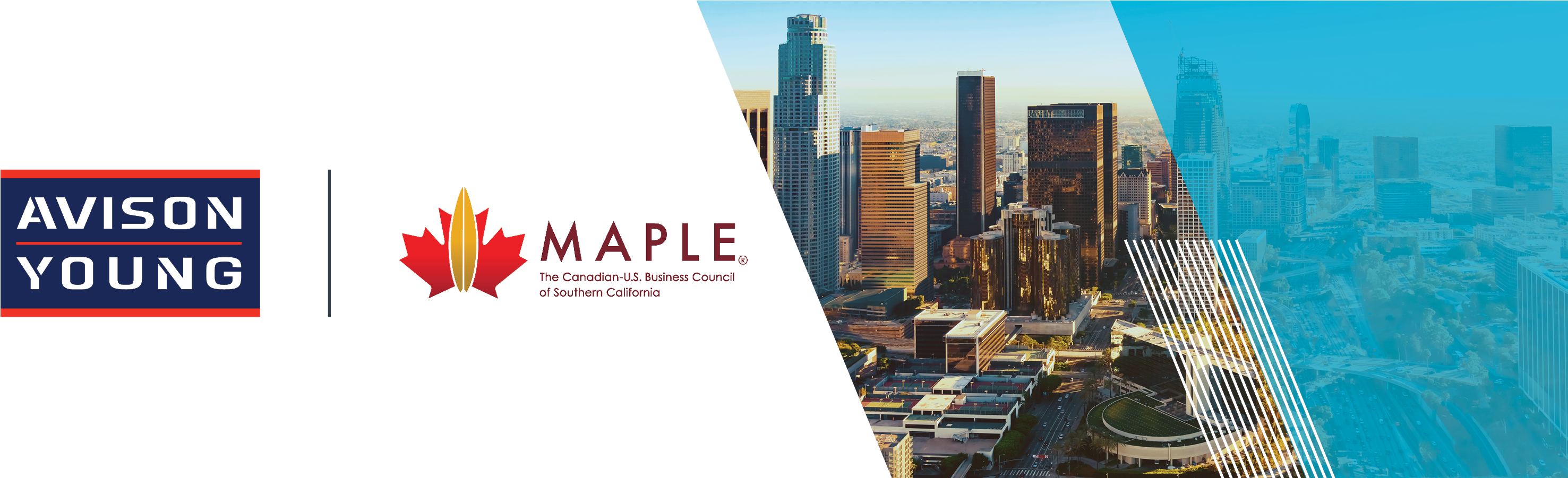 Avison Young Southern California Joins Maple Business - Avison Young (3000x900), Png Download