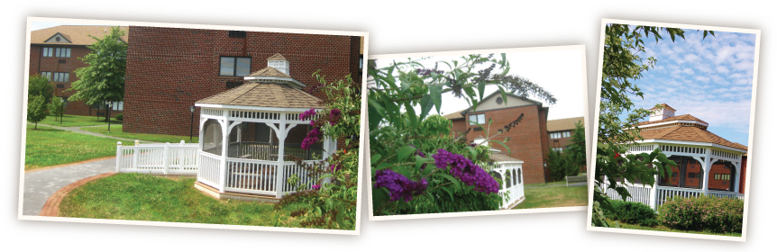 Honor The Memory Of Your Loved Ones And Their Time - Chester County, Pennsylvania (869x279), Png Download