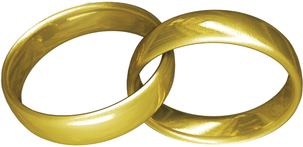 File - Married - Gold Wedding Rings (640x339), Png Download