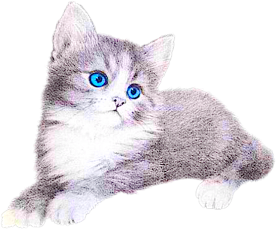 Kitten Free Images At Clker Com Vector - Котята Картинки (600x600), Png Download
