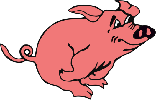 Wild Boar Download Mammal Document Pig - Pig Running Clipart (529x340), Png Download