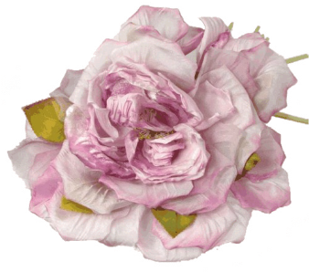 Portable Network Graphics (450x450), Png Download